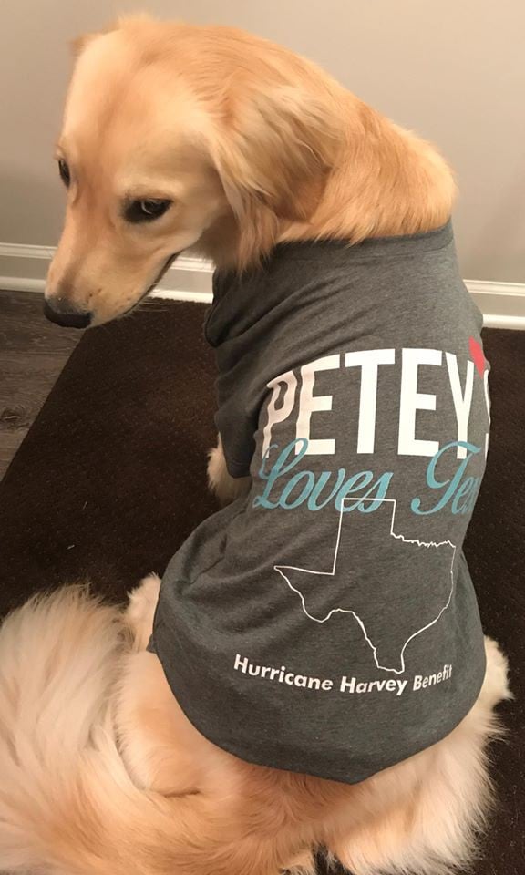 Petey’s Playhouse Pet Services Logo